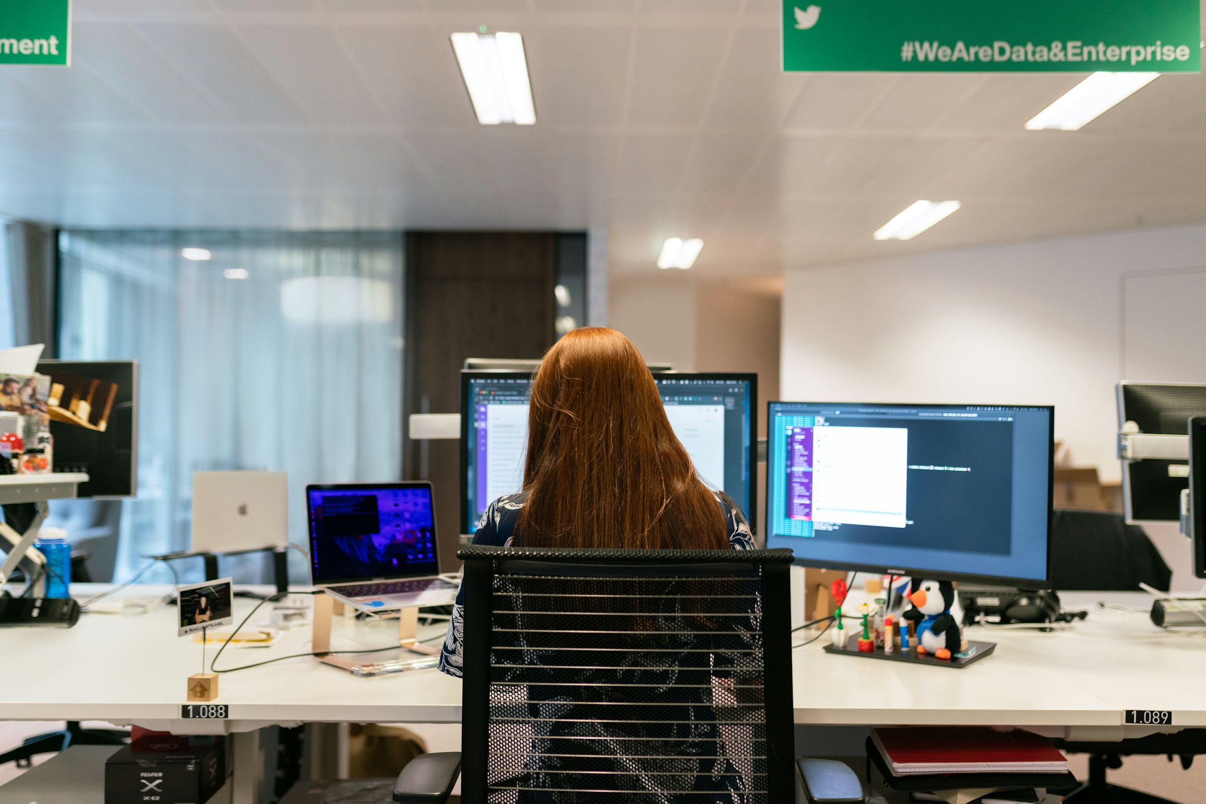 woman working alone - How to Do Data Classification